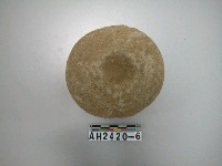 藏品(凹石)的圖片